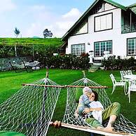 The Tea Garden