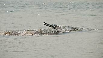 Tharu 20for7 Holiday House