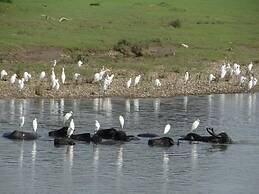 Tharu 20for7 Holiday House