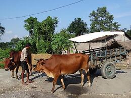 Tharu 20for7 Holiday House