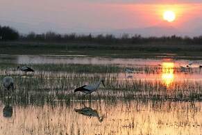 Somnis de l'Empordà