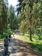 Quality Hotel Sveitsi