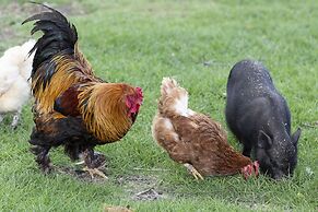 Domaine du Grand Bec