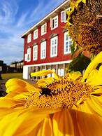 Oslo Hostel Rønningen