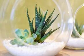 Green Hotel - West District