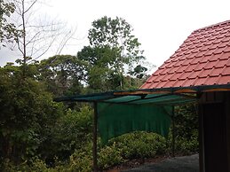 La Ceiba Ecoadventures