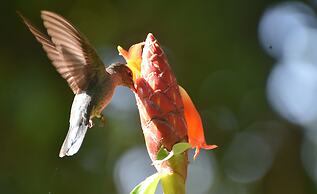 La Ceiba Ecoadventures