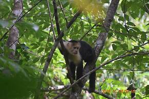 La Ceiba Ecoadventures