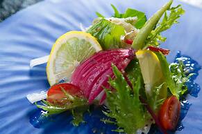 Shukubo Kawaseminoshou - The Kingfisher resort -