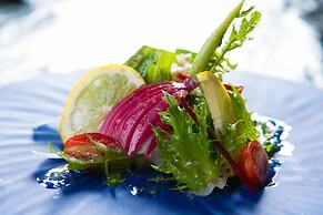 Shukubo Kawaseminoshou - The Kingfisher resort -