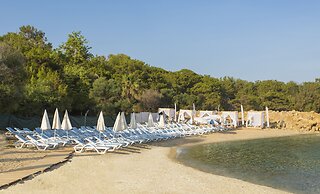 Modern Saraylar - All Inclusive