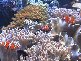 Toyoko Inn Niigata Ekimae