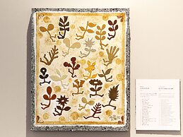 Toyoko Inn Tokyo Haneda Kuko No.2