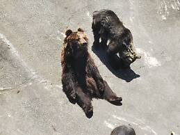 Toyoko Inn Kumamoto Sakuramachi Bus Terminal Mae