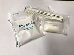 Toyoko Inn Kyoto Shijo-omiya