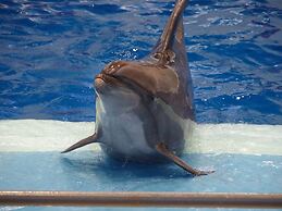 Toyoko Inn Kagoshima Chuo Station Higashi