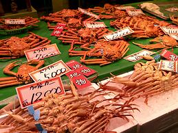 Toyoko Inn Kanazawa Kenrokuen Korimbo