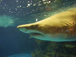 Toyoko Inn Tokyo Shinagawa Aomono Yokocho Station