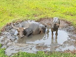 Bann Anattaya Koh Yao Noi