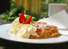 Landhotel Schütterbad