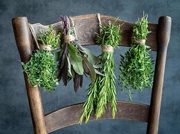 Landhotel Schütterbad