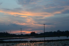 Beluran Serene Guesthouse