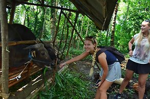 Beluran Serene Guesthouse