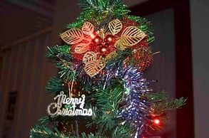 Beluran Serene Guesthouse