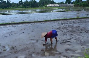 Beluran Serene Guesthouse