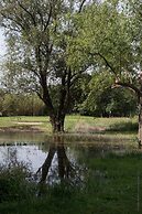 Adonis Arles by Olydea