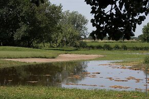 Adonis Arles by Olydea