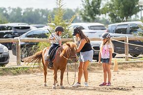 Adonis Arles by Olydea