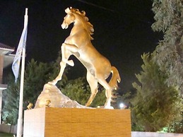 Cavallari Palace Hotel