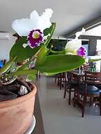 WR Confort Hotel Campo Grande