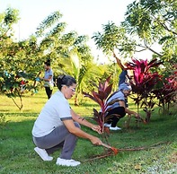 WR Confort Hotel Campo Grande
