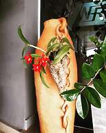 WR Confort Hotel Campo Grande