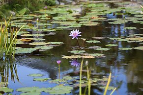 Hualien Zhikaxuan B&B