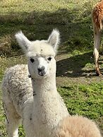 B&B De Rentmeesterhoeve