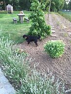 B&B De Rentmeesterhoeve