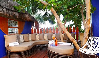 BLOOM Exclusive Boutique B&B - Adults Only