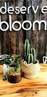BLOOM Exclusive Boutique B&B - Adults Only