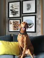 The Duniway Portland A Hilton Hotel