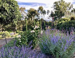 Karawatha Cottages B&B