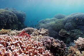 Pescadores Suites Moalboal