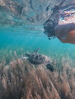 Pescadores Suites Moalboal