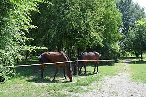 Agriturismo Tre Rondini