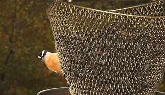 Loya's Little House Bed & Breakfast