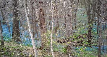 Loya's Little House Bed & Breakfast