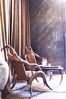 Bliss Riad Marrakech