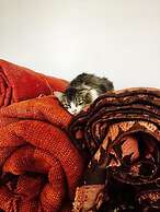 Bliss Riad Marrakech